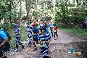 Trail Des Cèdres 2022 (Edition 13)